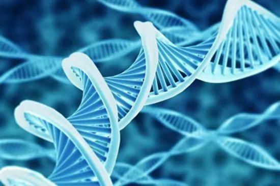 基因检测是科学还是算命？ 基因概念股疯涨背后的机会